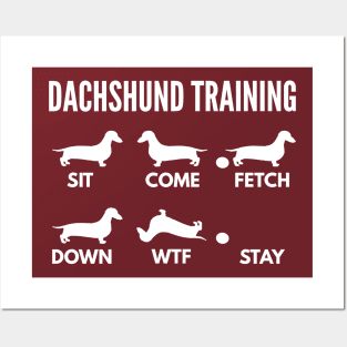 Dachshund Training Wiener Tricks Posters and Art